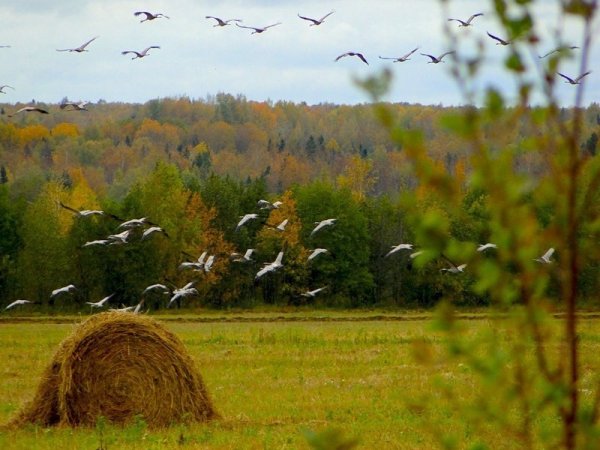 Рассвет летом