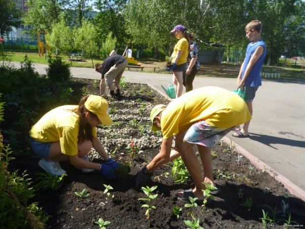 Трудовое лето в школе