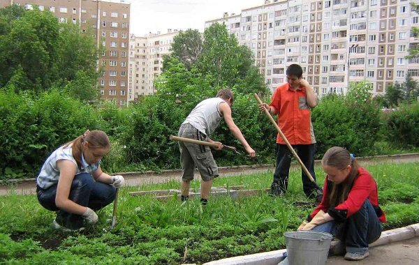 Сюжетные картины для детей