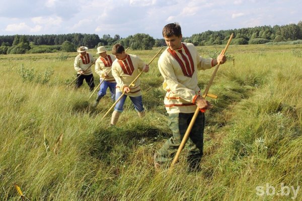 Грядка с овощами для детей