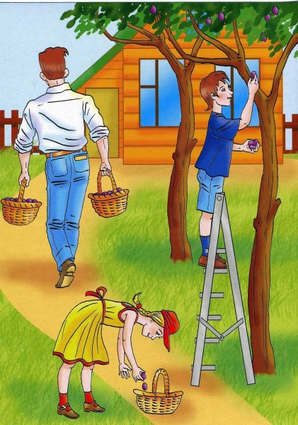 Летний огород для детей