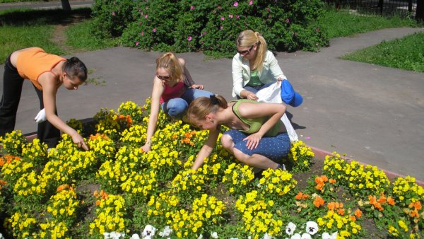 Руд взрослых на полях и огородах