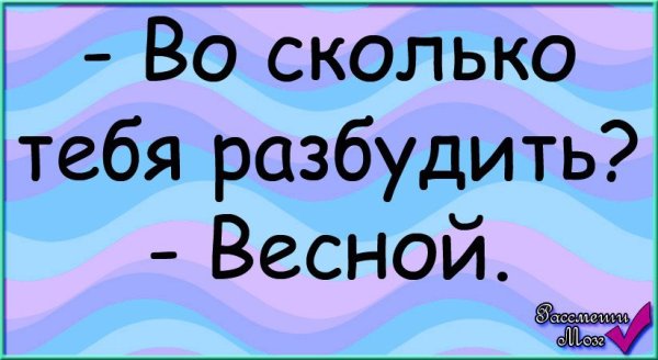 Разбудите меня весной
