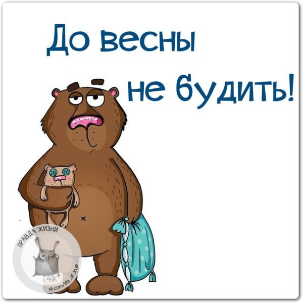 Медведь не будить до весны