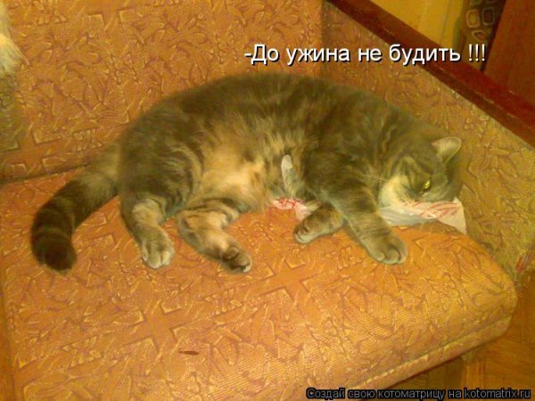 Не будить не кантовать при пожаре выносить