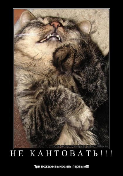 Смешные таблички на входную дверь