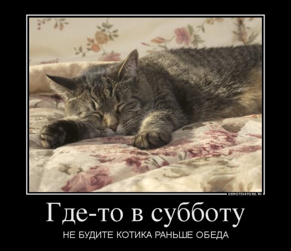 Меня не кантовать