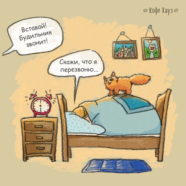 Вот я и проснулась