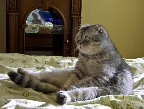 Ура наконец то пятница