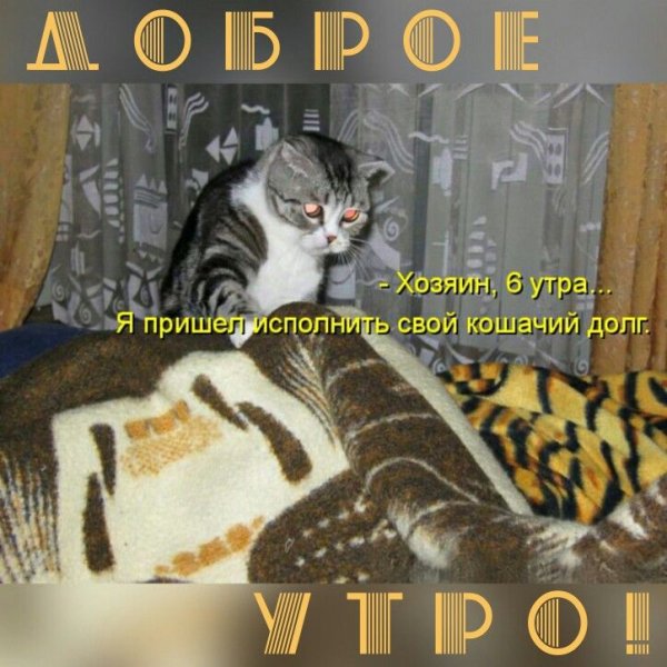 Доброе утро ямеще сплю
