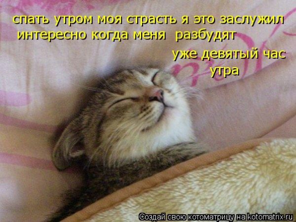 Когда меня будят