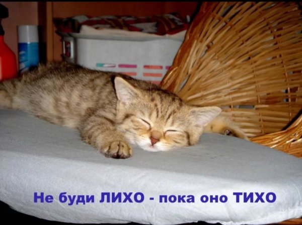 Отпуск картинки прикольные