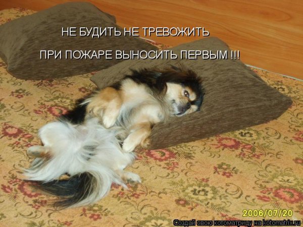 Понедельник гифка смешная