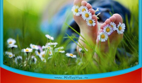 Позитив на каждый день