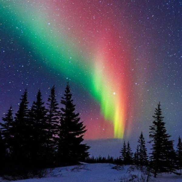 Изобилие Вселенной