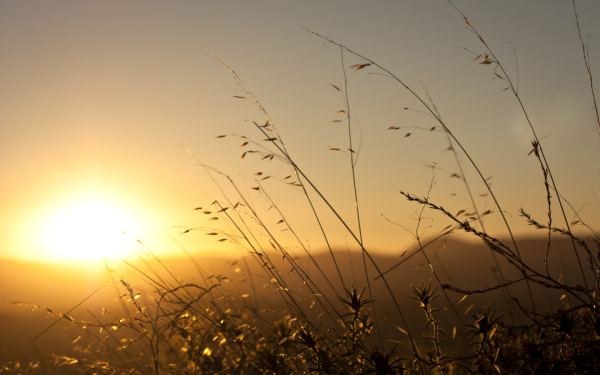 Свет солнца