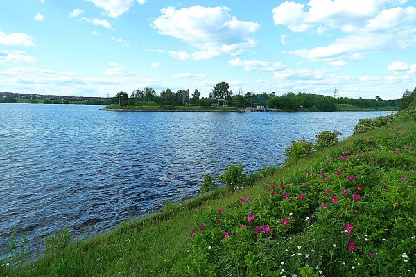 Природа Мытищинского района