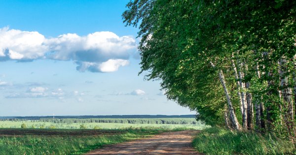 Лето в разгаре