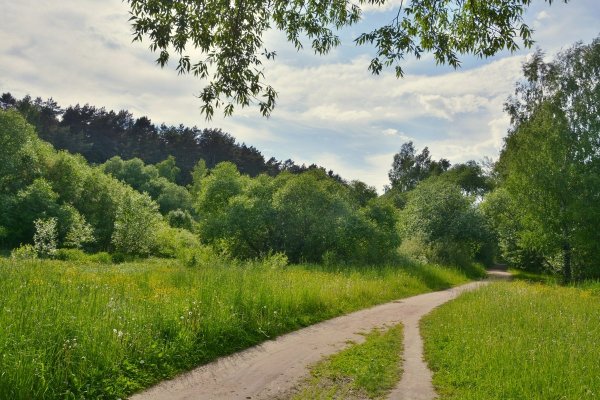 С началом лета