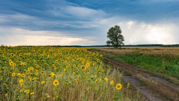 Кирзинский заповедник Новосибирской области