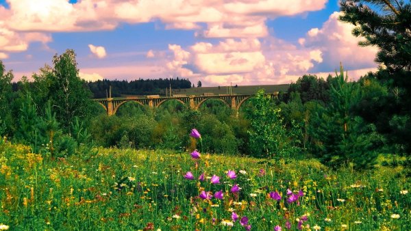 Деревня большой Сарс Пермский край
