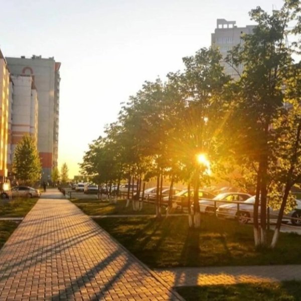 Раннее утро летом в городе