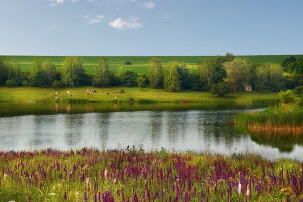 Лесостепь России