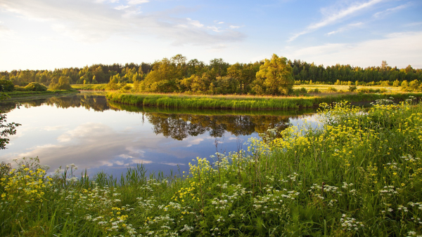 Полесская низменность