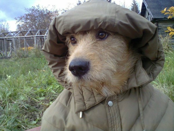 Снег в августе