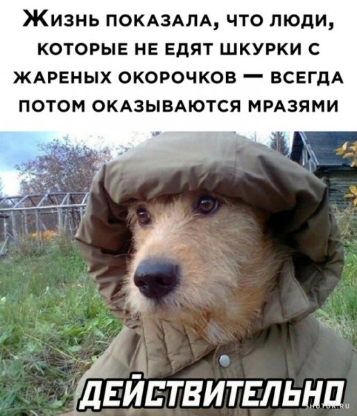 Демотиваторы про лето