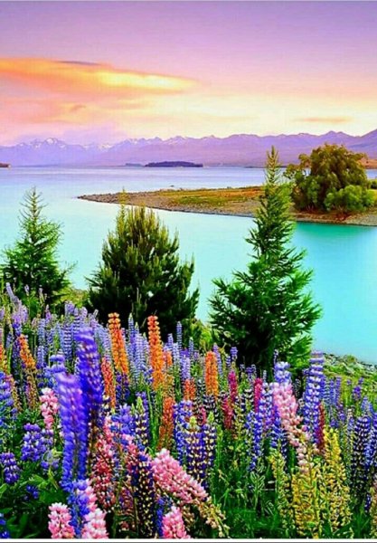 Летняя природа