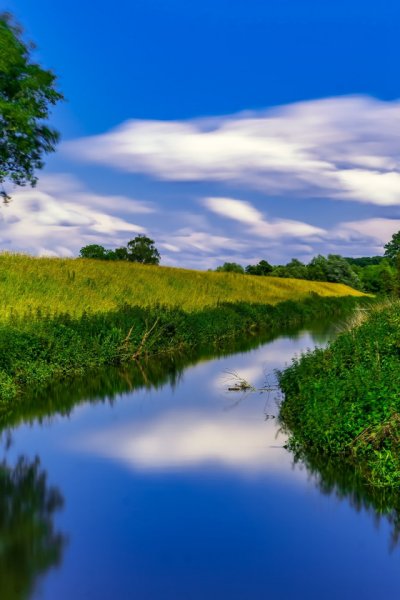 Березовая роща с озером