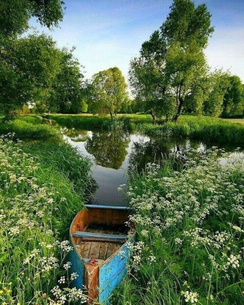 Утро в лесу