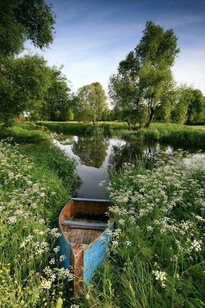 Летняя природа