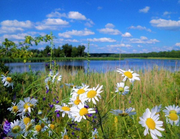 Летняя дорога