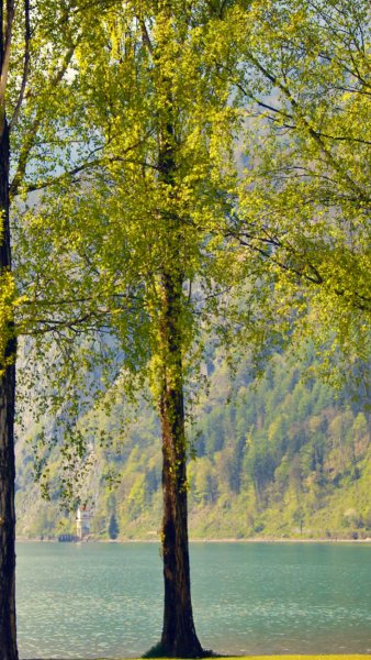 Пейзажи весенние и летние