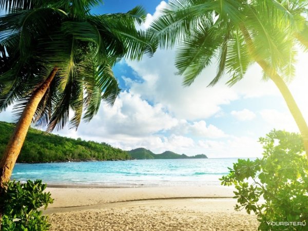 Красивый летний фон