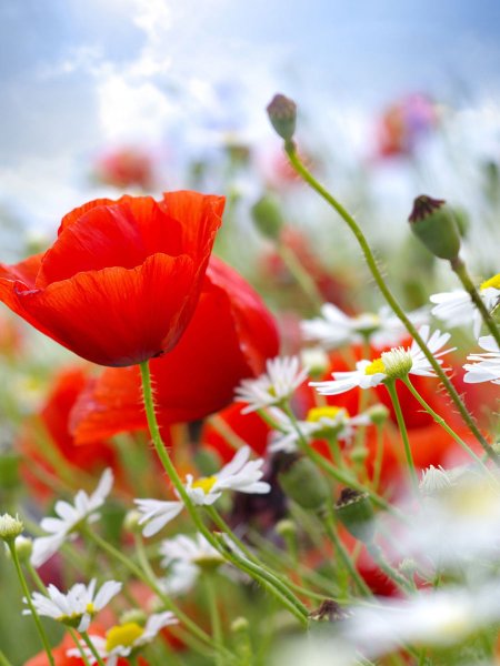 Коктейль на пляже