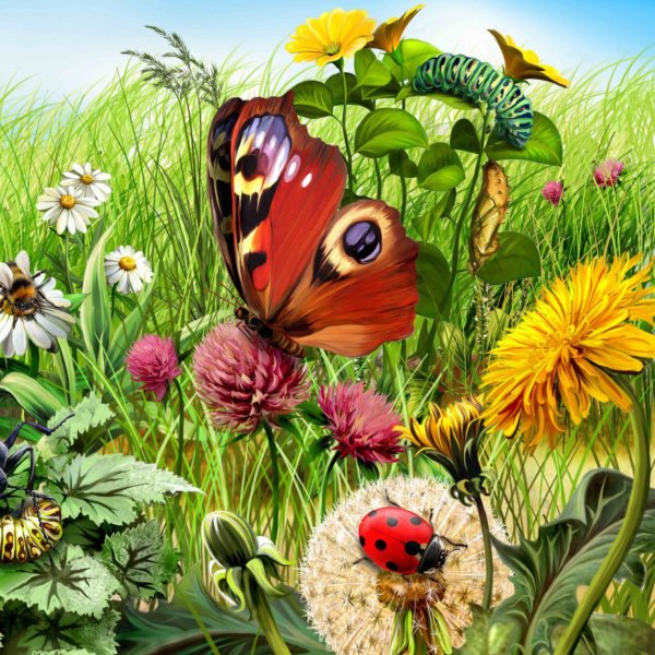 Обои на телефон пляж