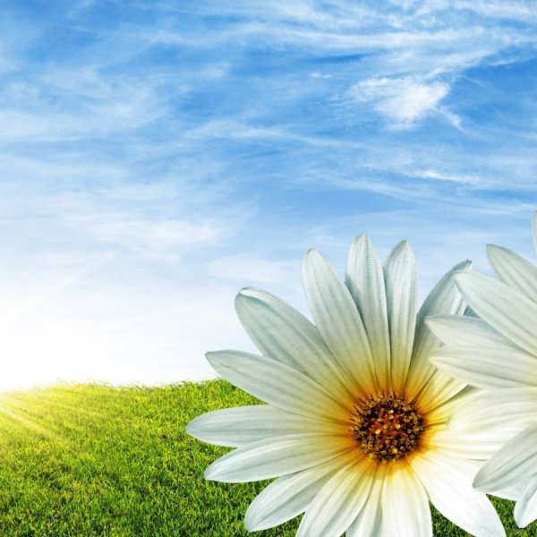 Летние пейзажи природы