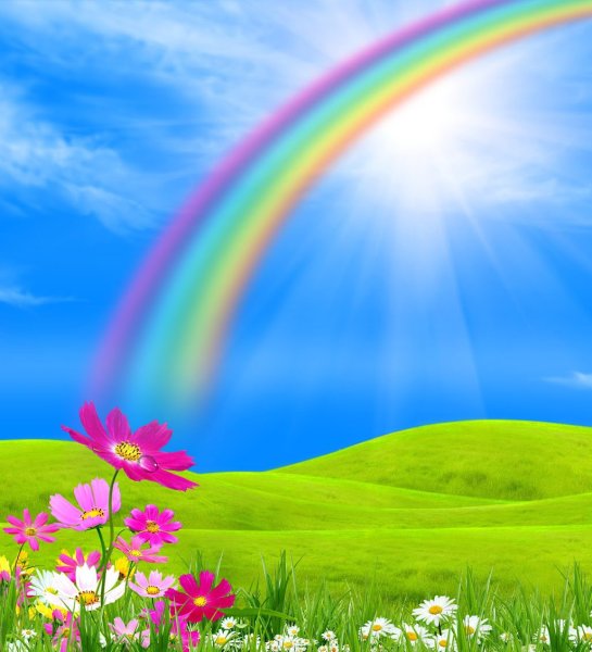 Красивый пейзаж с дорогой