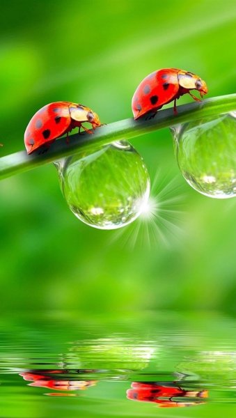 Красивая яркая природа