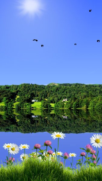 Свежесть умиротворение