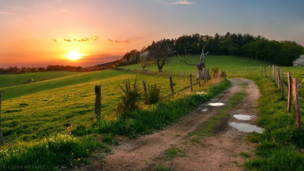 Лето в деревне