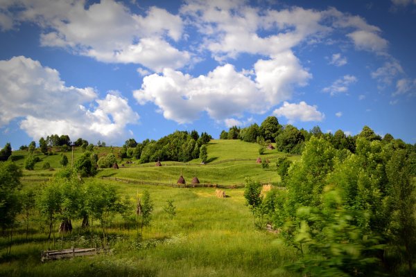 Деревня летом