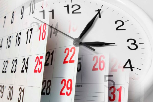 Сроки картинка