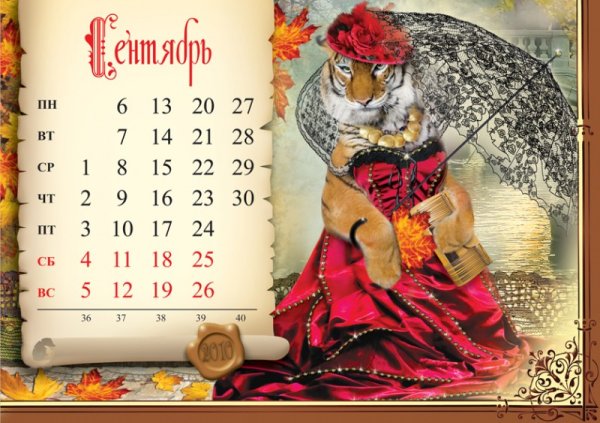 Год тигра красивый Кален