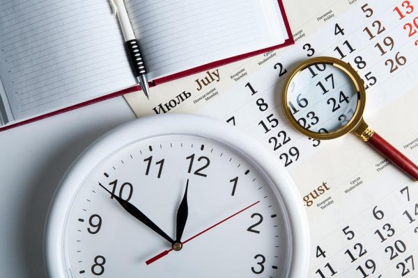 Сроки для презентации