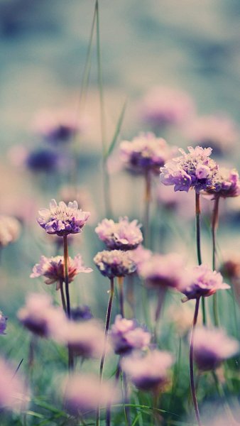 Яркий летний фон