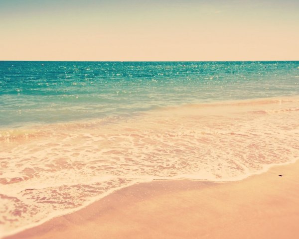 Красивые ягоды